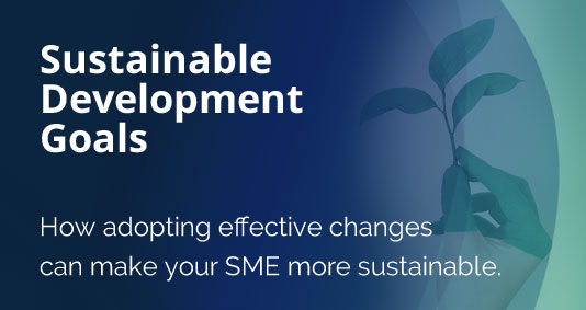 How SMEs Can Adopt Sustainable Development Goals | Credit Passport®